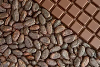 Как се формира цената на шоколадите?