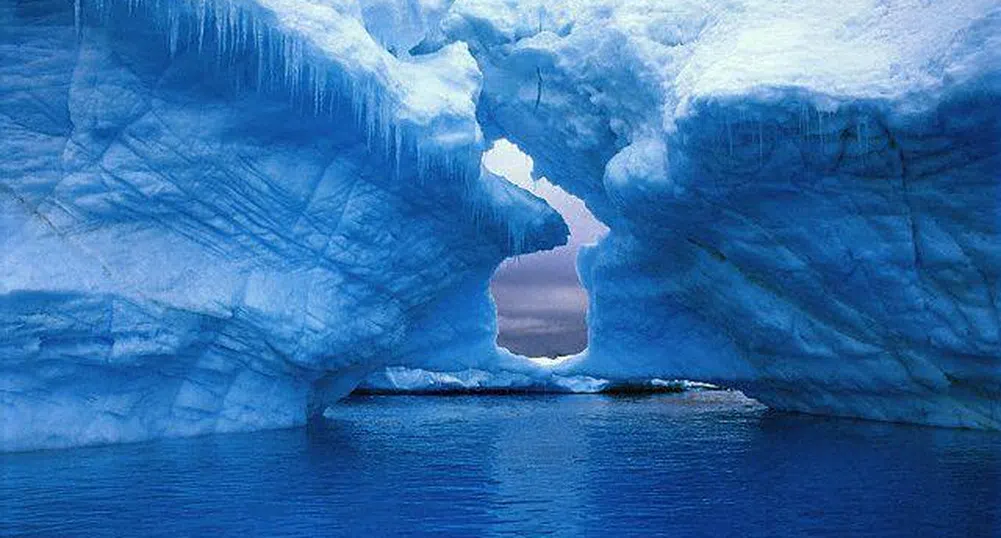 Лоша година за антарктическия туризъм