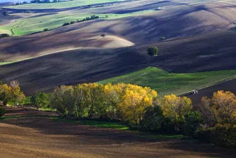 Северна България с най-много арендни договори за земя