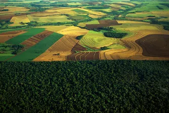 Земеделските производители ще получат над 1 млрд. лв. за 2013 г.