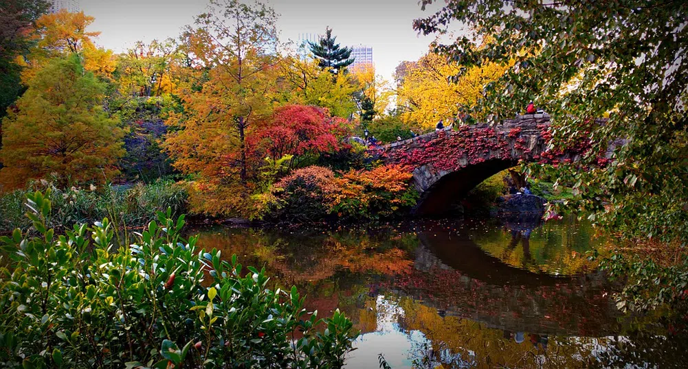 "Потапят" Central Park на 30 метра в земята?