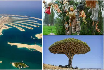 Най-необичайните острови в света