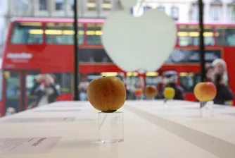 Пресъздадоха магазин на Apple, за да покаже... ябълки