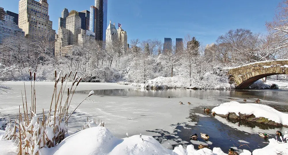 Щатите се възстановяват от бурята, Ню Йорк със снежен рекорд