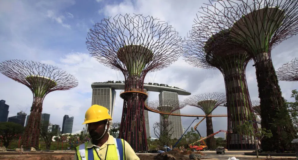 В Сингапур строят супер дървета