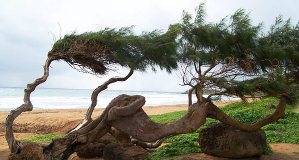 18 невероятни снимки на Хаваите, които не са на плажове