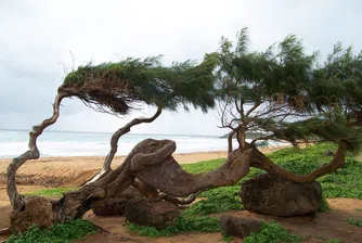 18 невероятни снимки на Хаваите, които не са на плажове