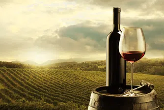 Кои са най-големите световни производители на вино?