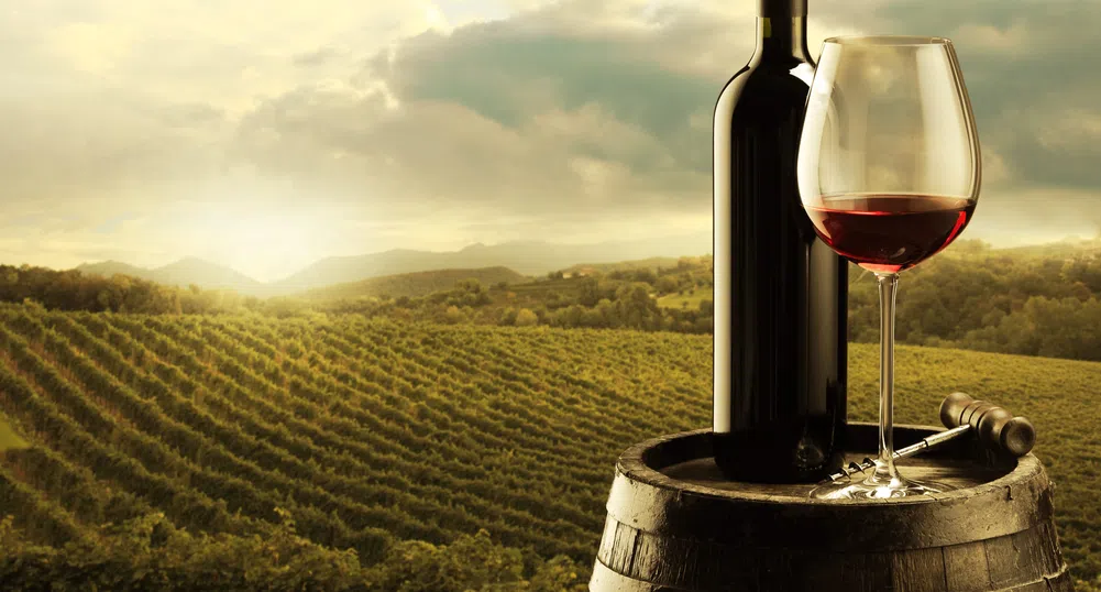 Кои са най-големите световни производители на вино?
