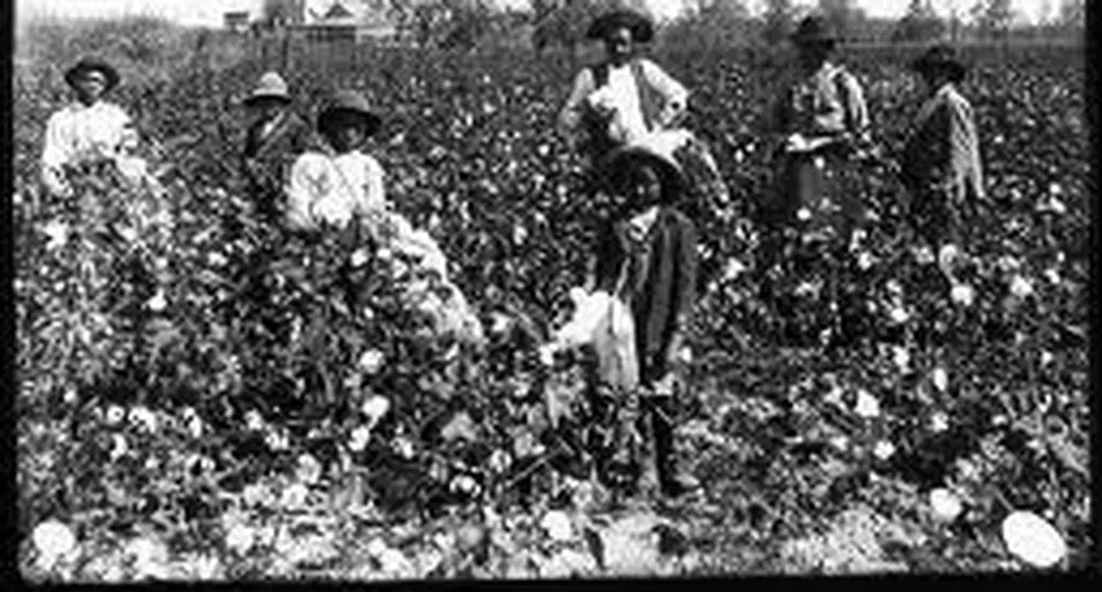 Седмица след робството, САЩ премахват и думата "негър"