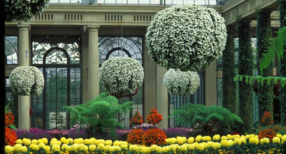 Едни от най-красивите градини в света: Longwood Gardens