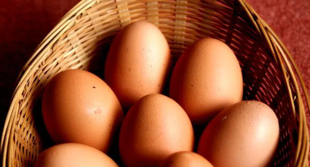 Лъжат ни и с яйцата, твърдят производители
