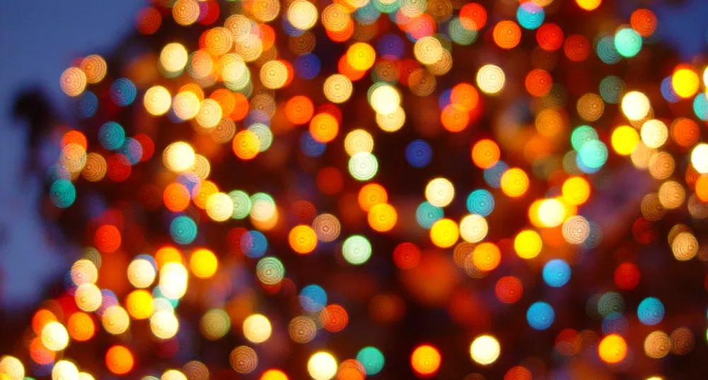 На 1 декември палят светлините на елхата на София
