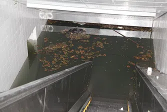 Наводненото метро на Ню Йорк (снимки)