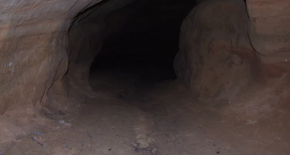Останки от пещерна мечка откриха в Странджа