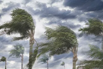 Да летиш през ураган: вижте стихията Матю отвътре