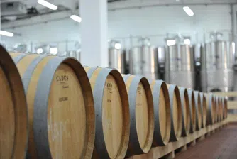Винпром Пещера с 30% ръст в добива на грозде от собствени лозя