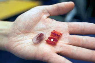 Това миниатюрно оригами се разгъва в стомаха