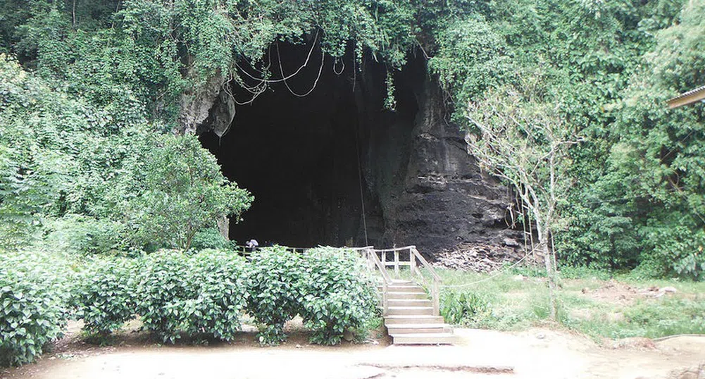 От най-гнусните пещери в света идва странен и скъп деликатес