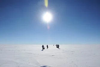 Животът на Антарктида