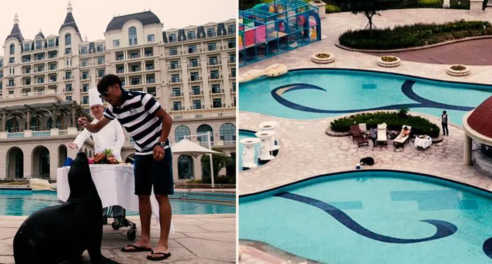 Китаец нае цял петзвезден хотел за рожден ден на морски лъв