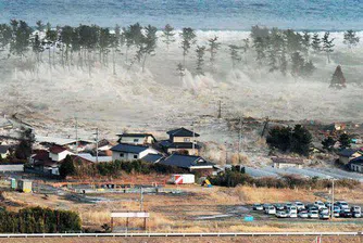 40.5 метра е било цунамито в Япония на 11 март