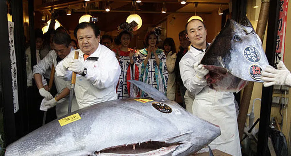 1.8 млн. долара за риба тон платиха в Токио