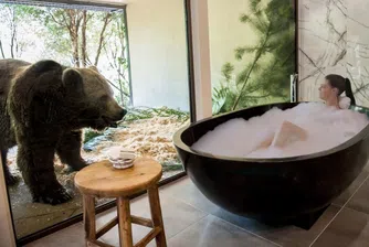Хотел в Австралия ви позволява да се къпете до мечки