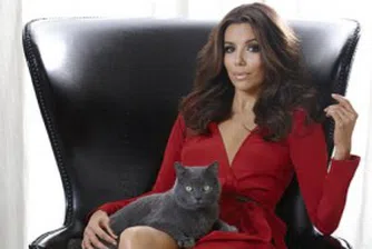 Актриса рекламира котешка храна (видео)