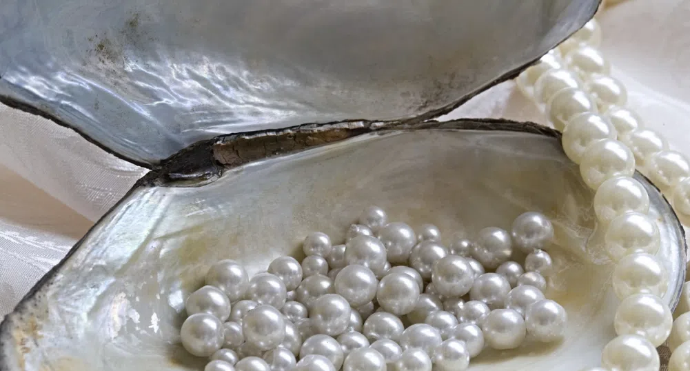 Рибар откри, че притежава 34-килограмова перла