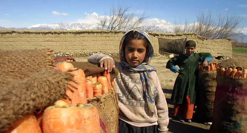 Мръсните пари на Афганистан, или как работи системата хавала