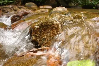 Българските реки -  пълни със злато