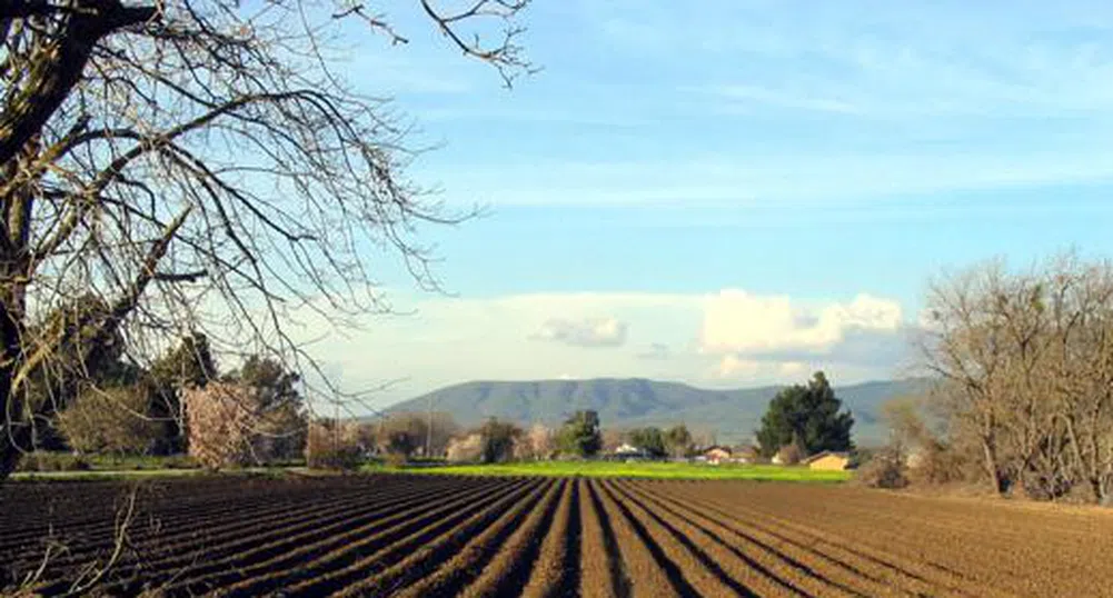 БАСЗЗ: Земеделската земя ще поскъпне през 2011 г.