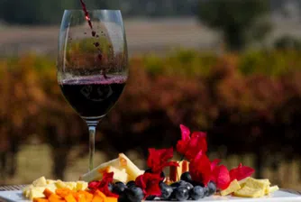 Виното и туризмът - водеща тема на Балканския винен фестивал