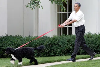 Семейство Обама си взе второ куче