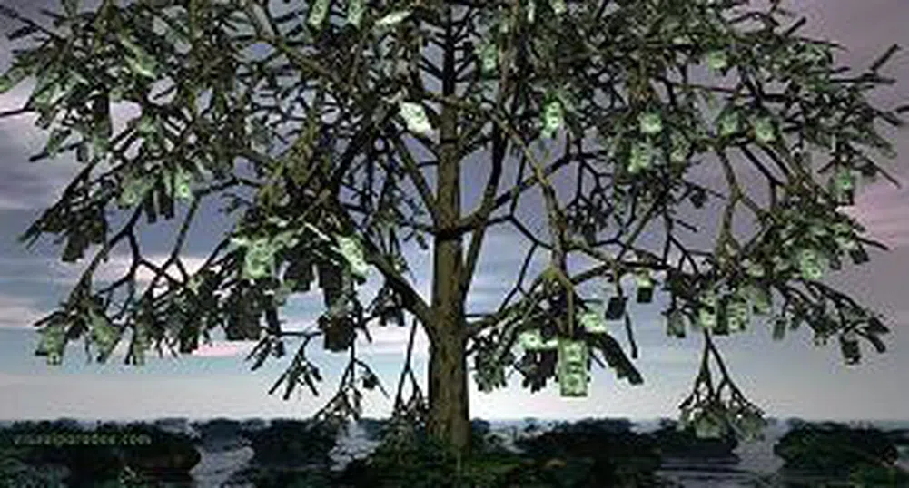 Дърво на парите