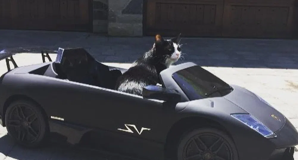 Популярният диджей Deadmau5 купи Lamborghini за котката си