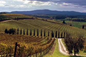 Десетте най-добри винарски дестинации в Европа