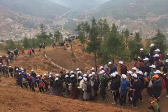 В Бутан засадиха 108 000 дървета в чест на новородения принц