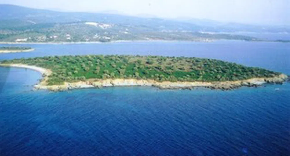 Продават гръцки остров на търг