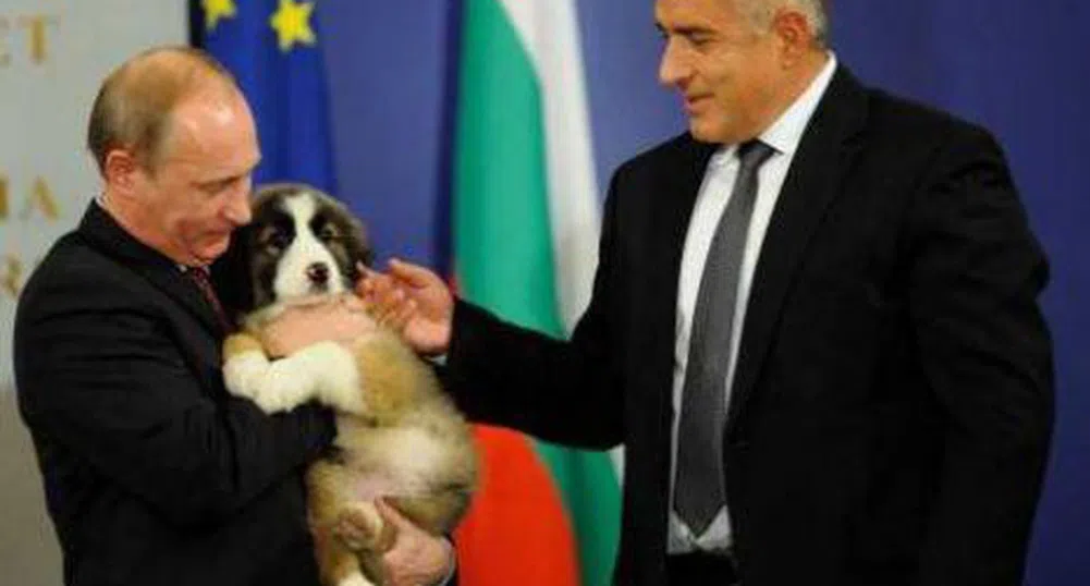 Руснаците заляха нета с предложения за име на кучето Йорго