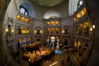 Най-добрите музеи във Вашингтон