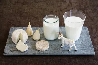 Мляко от Момчиловци - хит в Китай