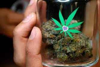 Уругвай е първата страна, която напълно легализира марихуаната