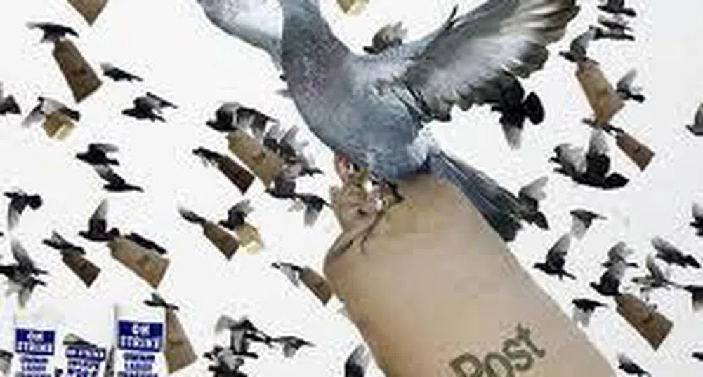 Продадоха пощенски гълъб за 170 хиляди евро