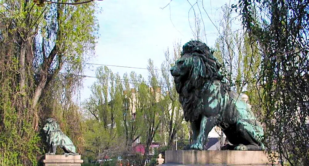 Лъвов мост се руши