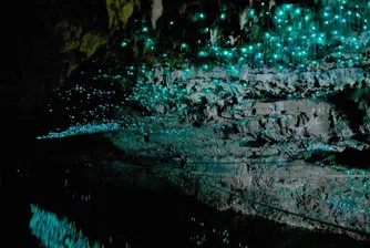 Най-невероятните пещери на Земята