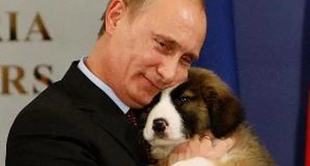Руснаците най-впечатлени от българското куче на Путин