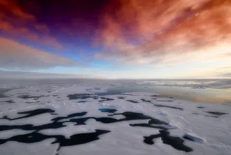 Рекордно висока температура измерена на Антарктида