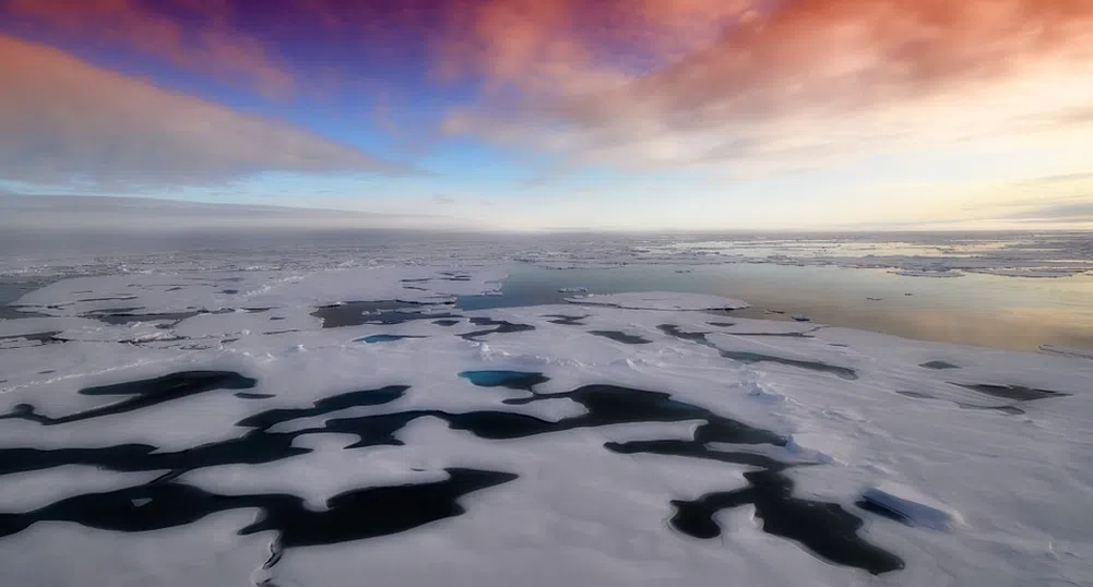 Рекордно висока температура измерена на Антарктида